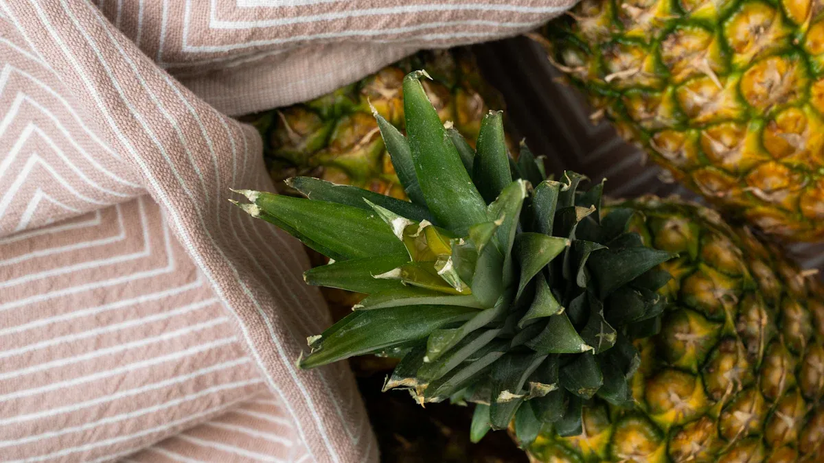 Sustainable Fibers in Knitwear