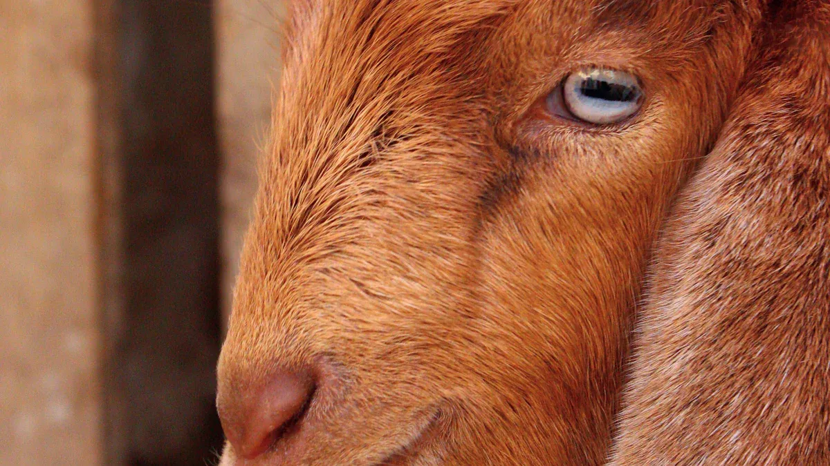 Cashmere Knitwear Manufacturer Profiles