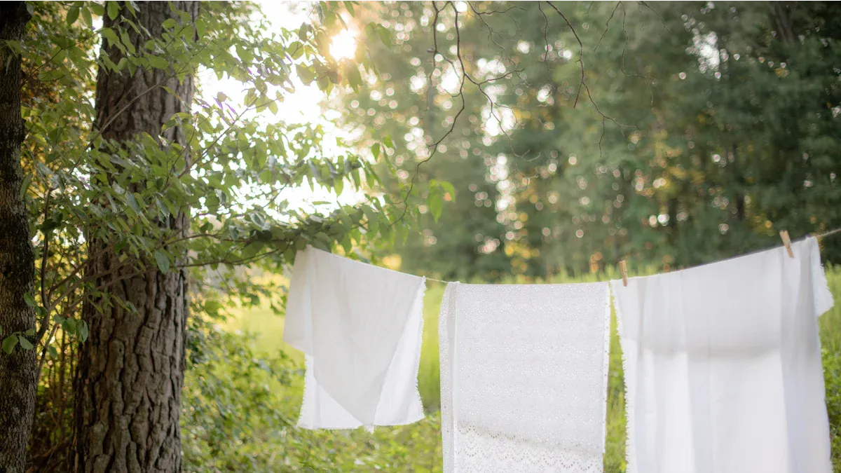 Sustainable Minimalist Brands