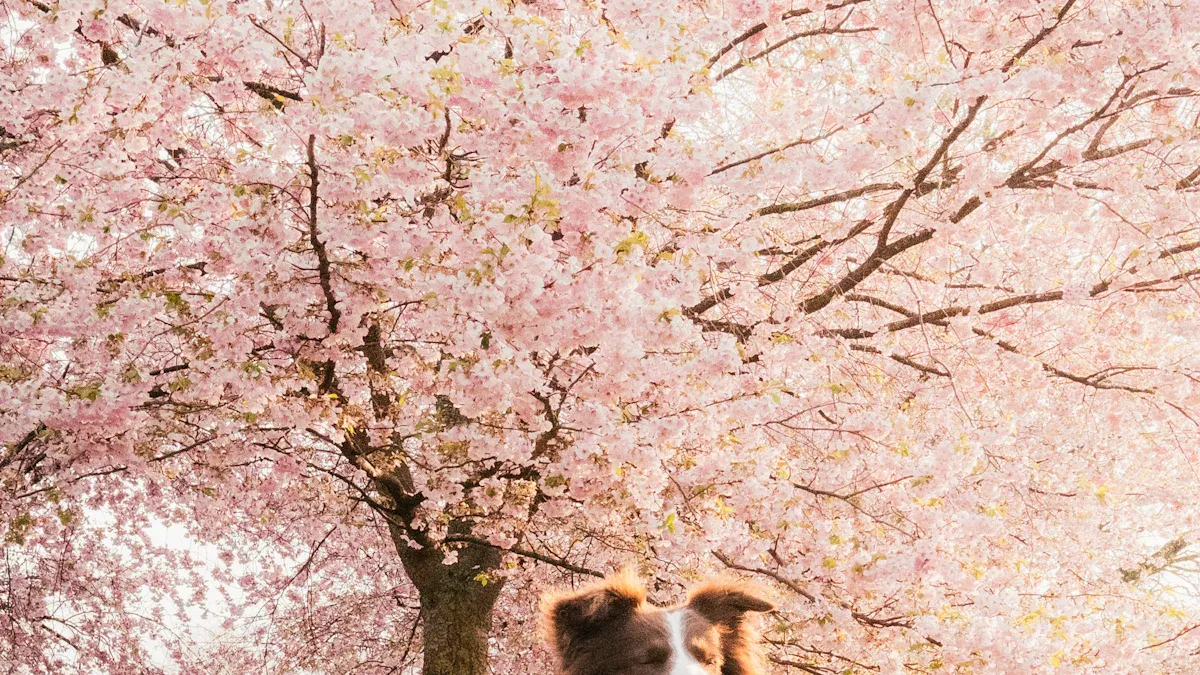 Spring style with the house of sunny cherry cardigan