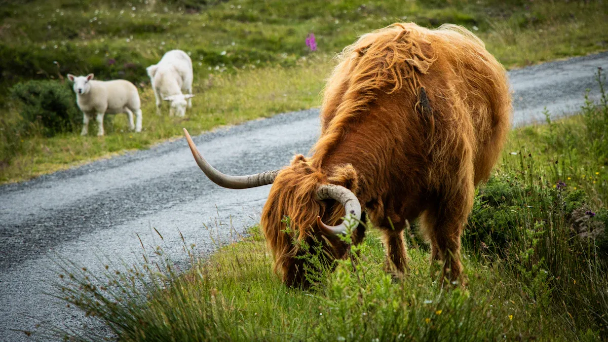Craftsmanship and Heritage in Knitwear